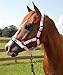 Roma Co-Ordinate Halter