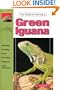 The Guide to Owning a Green Iguana