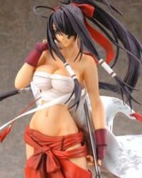 一騎当千 関羽雲長 コミック13巻表紙絵 (1/6スケールPVC塗装済み完成品)