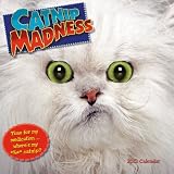 Catnip Madness 2013 Wall (calendar)
