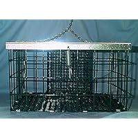 Squirrel Proof Woodpecker Feeder