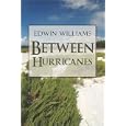 Between Hurricanes by  Edwin Williams