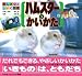 ハムスターのかいかた (かんさつとしいく図鑑)