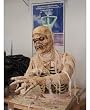 Egyptian King Torso Prop