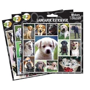 Arf Art Stickers, Breed: English Bulldog