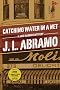 Catching Water in a Net (Jake Diamond Mystery)