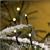 120x MICRO LED WARM WHITE fairy lights, 8.3m, Christmas Festive - 3631-110 - made by Konstsmide