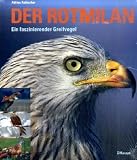 Der Rotmilan: Ein faszinierender Greifvogel - Adrian Aebischer