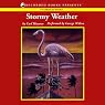Stormy Weather