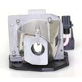 Liberty Brand Replacement Lamp for OPTOMA BL-FS180B including generic housing and brand new Phoenix lamp