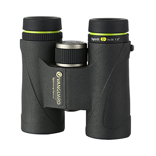 Vanguard 8x36 Spirit ED Binocular (Black)