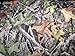 Camo Bench Seat Cover Camouflage Forest Gray Ford Chevy Dodge Truck Car