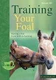 Training Your Foal: Raising a Foal from Birth to Backing