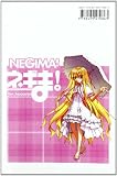 Negima! Magister Negi Magi 30