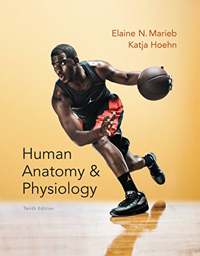 Download Human Anatomy & Physiology (Marieb, Human Anatomy & Physiology) Download Human Anatomy & Physiology (Marieb, Human Anatomy & Physiology)