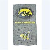 Iowa Hawkeyes NCAA Clock & Thermometer (18)