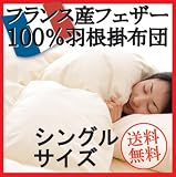 �t�����X�Y�t�F�U�[100%�H���|�z�c(�V���O��)