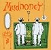 When in Rome lyrics Mudhoney