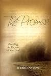 The Promise: Revealing the Purpose of Your Soul