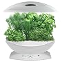 AeroGrow AeroGarden 6 with Gourmet Herb Seed Kit, White