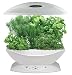 AeroGrow AeroGarden 6 with Gourmet Herb Seed Kit, White