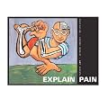 Explain Pain