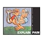 Explain Pain