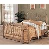 Coaster Fine Furniture 300171q Metal Bed Headboard and Footboard, Queen, Gold Finish