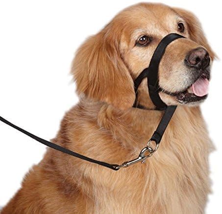 Open INnoVation Headcollar for Dog Head Collar to Prevent Dog Bite(Black,M)