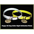 Vedante Super Reflective Puppy Dog or Cat Collar with Bonus Glow in the Dark Tag (X-Small, Silver)