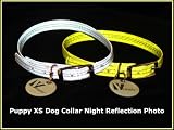 Pet Supplies : Super Reflective Silver Puppy Dog or Cat Collar-size Xs | Bonus Glow in the Dark Tag