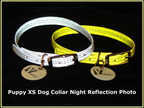 Vedante Super Reflective Puppy Dog or Cat Collar with Bonus Glow in the Dark Tag (X-Small, Silver)