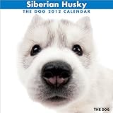 シベリアン・ハスキー [2012年 カレンダー]