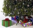Ever-Green Easy Real Christmas Tree Watering System - Gift Box Style