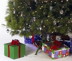 Ever-Green Easy Real Christmas Tree Watering System - Gift Box Style