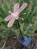 Set of 2 Solar Dragonfly Garden Stake Lights