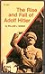 The Rise and Fall of Adolf Hitler