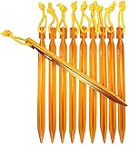 Raqpak Tent Stakes Aluminum Pegs 10 Pack with Pouch