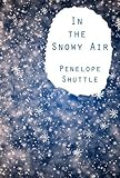 In the snowy air