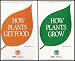 Plants Circle of Life: How Plants Grow and Get Food and Life on Earth (Biology of Pla...