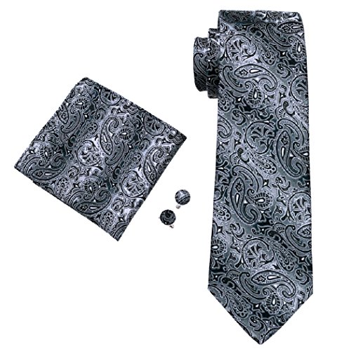 Hi-Tie Classic Paisley Tie Set for Men Woven Silk