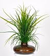 Artificial Sea Grass in Striped Vase