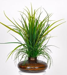 Artificial Sea Grass in Striped Vase