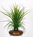 Artificial Sea Grass in Striped Vase