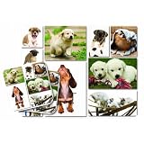 All Star Puppy Dog Mouse Pad & Coasters Set