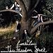 Freedom Spark