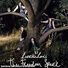 The Freedom Spark