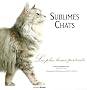 Sublimes Chats : Les plus beaux portraits