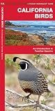 California Birds: An Introduction to Familiar Species (State Nature Guides)