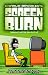 Screen Burn